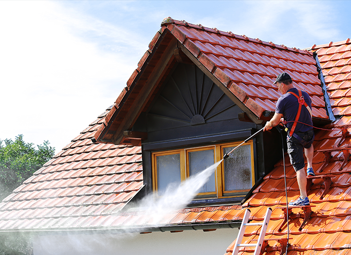 Roof Cleaningimg